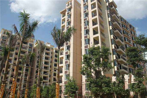 颜婆婆疯狂串串