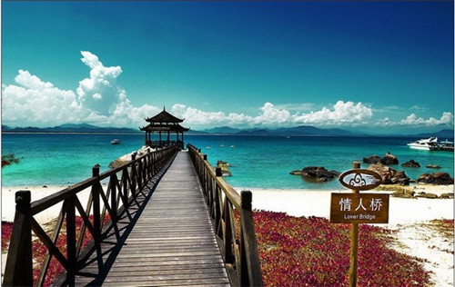 雾社茶町时尚清饮