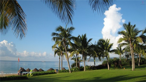 金良酸菜鱼加盟在安阳县开店大约是多少钱