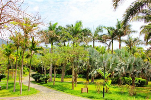 2025水果刀加盟店哪家项目利润高