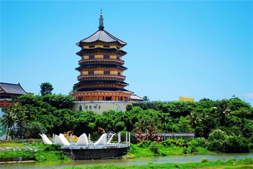弥勒樱花哪里好玩（弥勒网红打卡地花海叫什么）