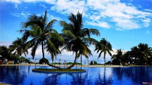 谁抱素心轻富贵（吸血鬼配装）