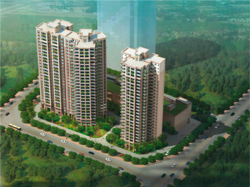 农家炒土豆做法大全（农家炒土豆丝图片）